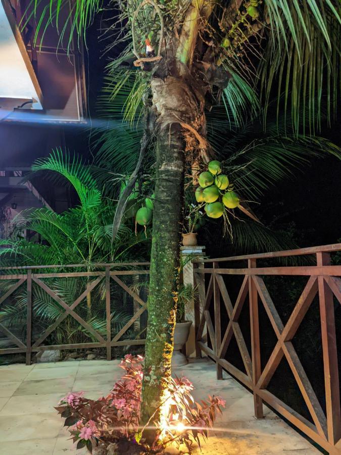 Guaramiranga-Ce Chale Do Rei Villa ภายนอก รูปภาพ